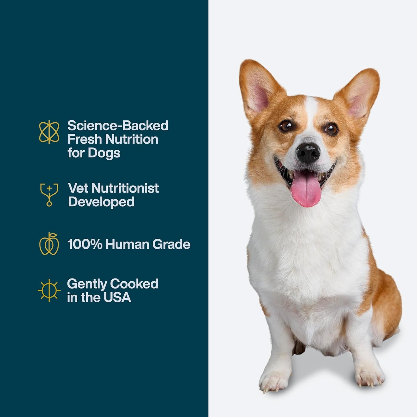 JustFoodForDogs JustFresh Home-Cooked Chicken and Beef Dog Food Variety Pack with No Preservatives, Resealable Packaging, Human Grade Wet Dog Food, 12 oz - 8 Pack