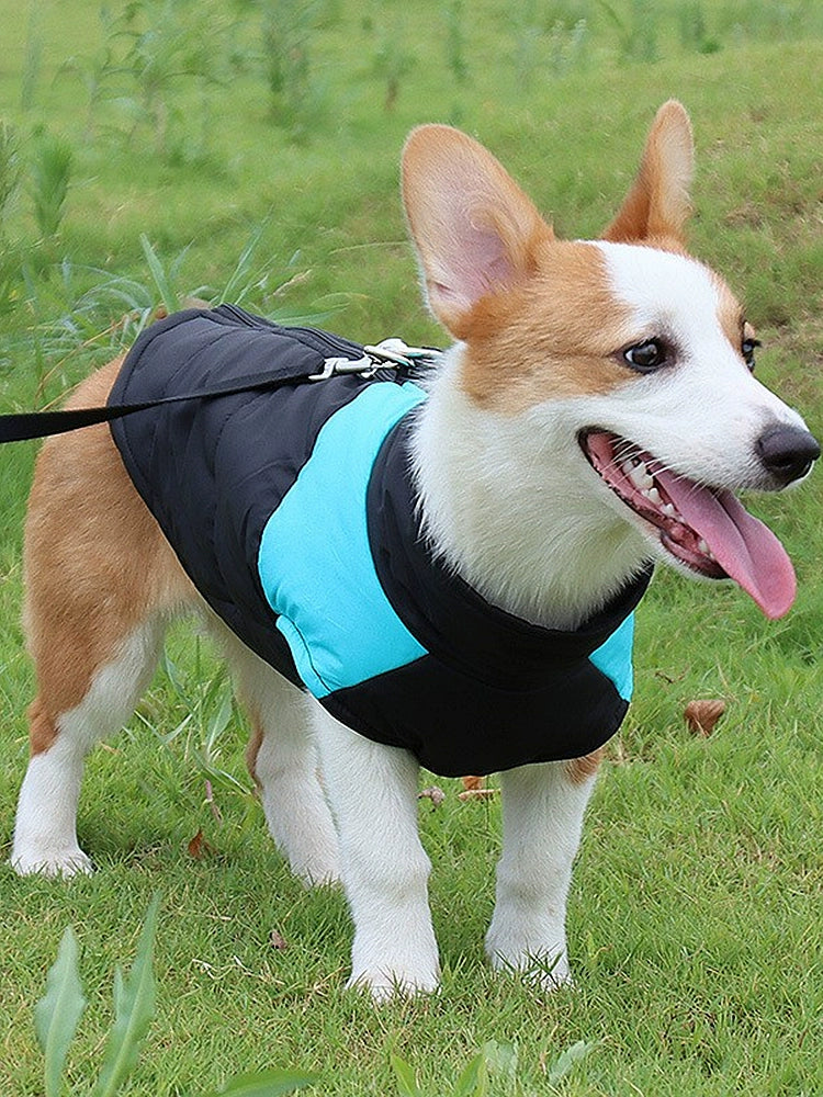 Pet Dog Clothes Large, Medium and Small Dogs Autumn and Winter Clothing Thick Windproof Waterproof Winter Cotton-Padded Coat Vest Hand Holding Rope