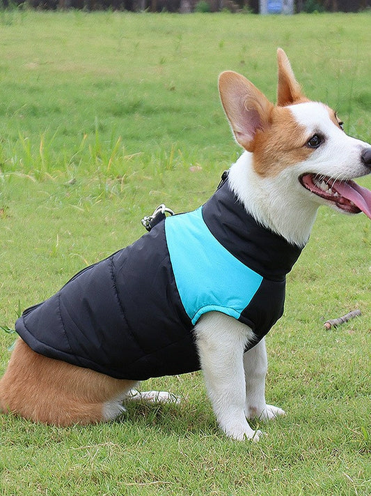 Pet Dog Clothes Large, Medium and Small Dogs Autumn and Winter Clothing Thick Windproof Waterproof Winter Cotton-Padded Coat Vest Hand Holding Rope