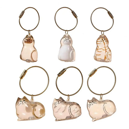 Transparent Pet Fur Keepsake Keychain Cat Hair Storage Bottle Pet Hair Container Pendant for Collecting Hair Pet Memorial Gift