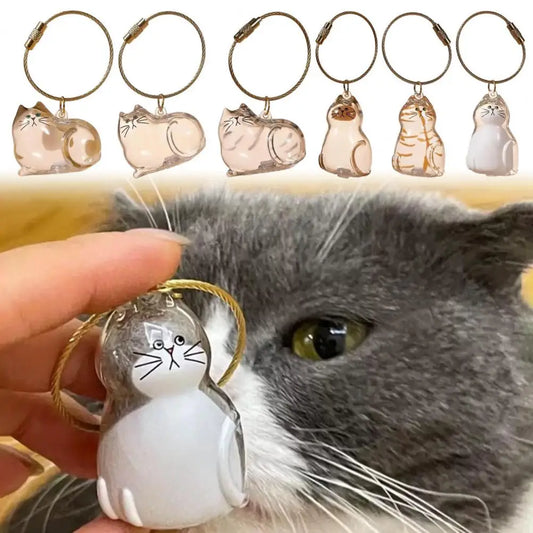 Transparent Pet Fur Keepsake Keychain Cat Hair Storage Bottle Pet Hair Container Pendant for Collecting Hair Pet Memorial Gift