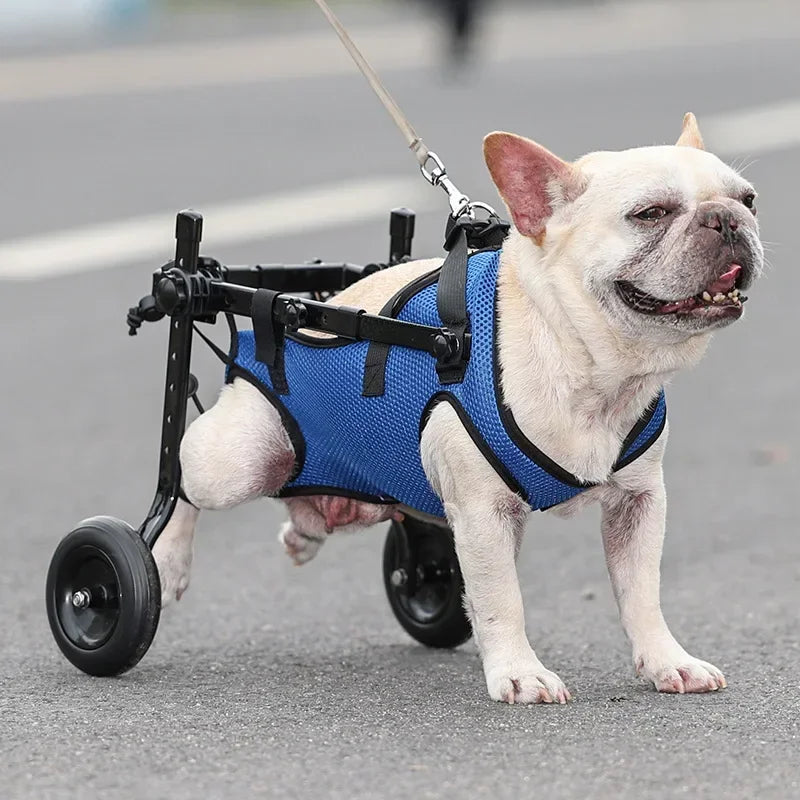 Pet Walk Booster Cat Dog Injured And Weak Rehabilitation Aid Car Dog Wheelchair Disability Adjustable Dog Hind Legs Bracket