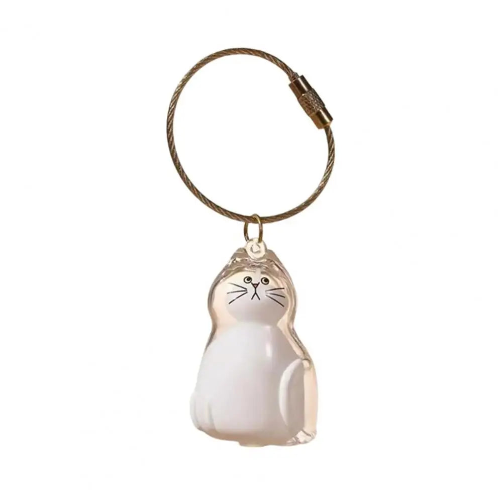 Transparent Pet Fur Keepsake Keychain Cat Hair Storage Bottle Pet Hair Container Pendant for Collecting Hair Pet Memorial Gift