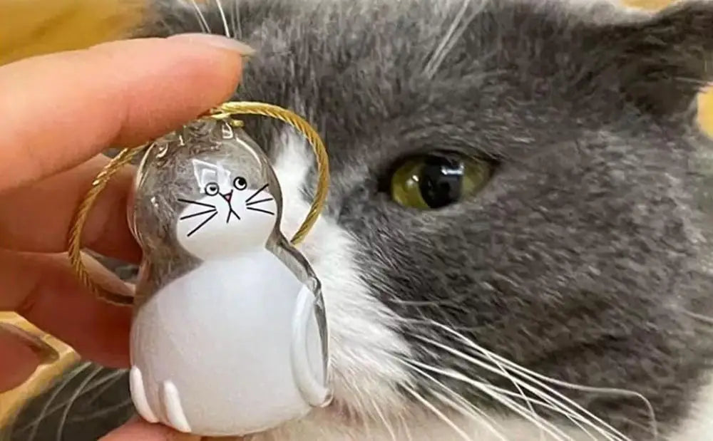 Transparent Pet Fur Keepsake Keychain Cat Hair Storage Bottle Pet Hair Container Pendant for Collecting Hair Pet Memorial Gift