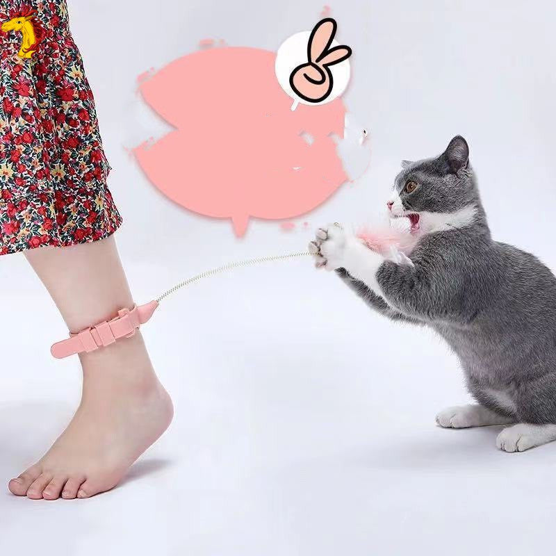 Funny Cat Stick Collar With Funny Cat Stick Collar