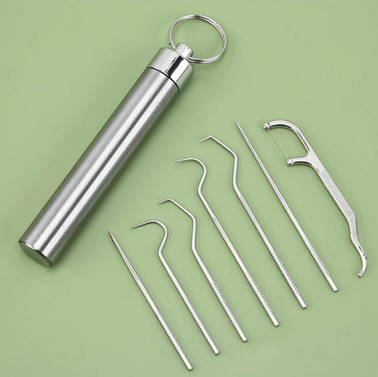 Stainless Steel Portable Toothpicks, Reusable Teeth